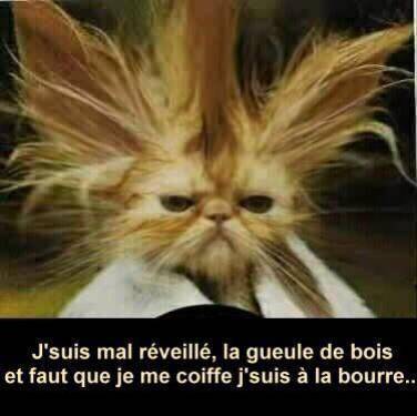 chat
